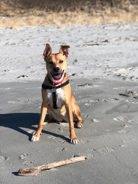 Maggie