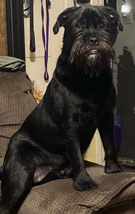 Sadie Mae (aka) Parm