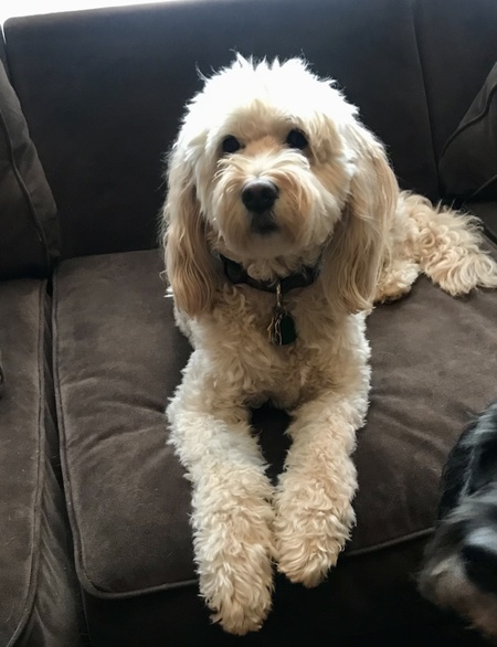 Riley