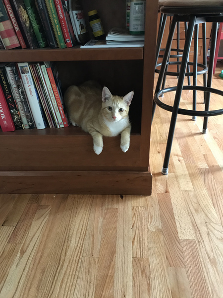 Tucker