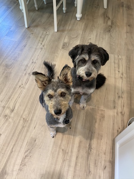 Lincoln & Matilda