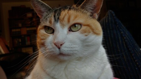 Patches