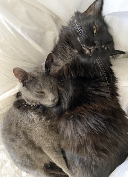 Boo and Thunder 