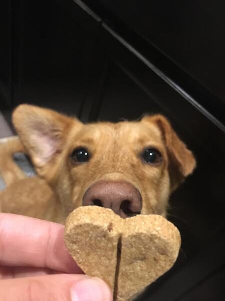 Bowie