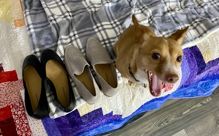 Indi:  “Mom bought me new shoes” 