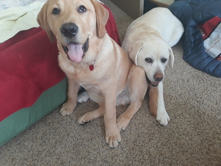 Lilly and Durango