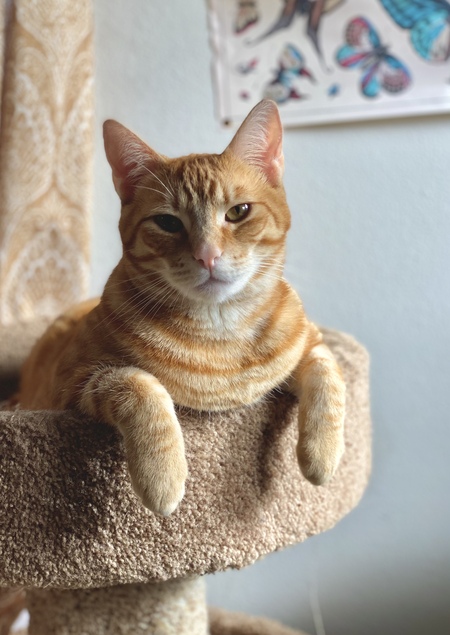 Leo