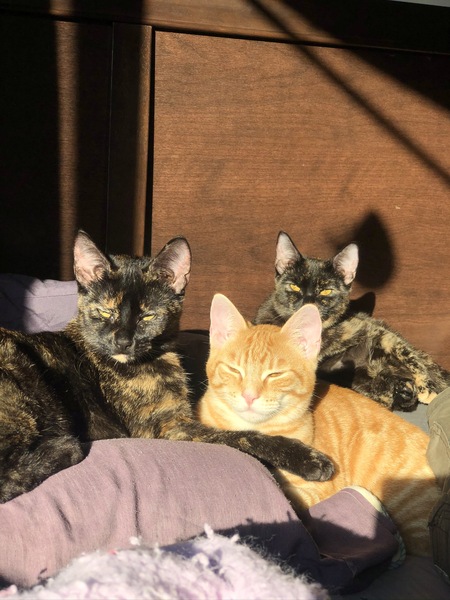Pooder, Leo, & Meredith 