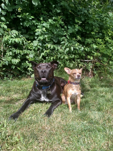 Oso and spunky 