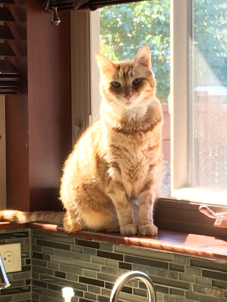 Leo