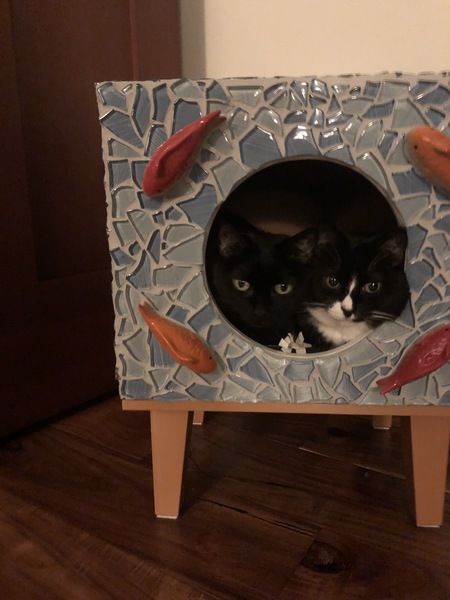 Franny & Zooey