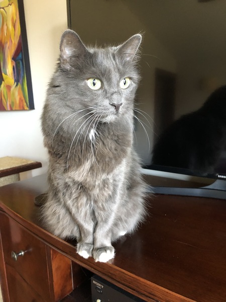 Luna
