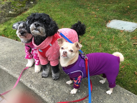 Chloe, Fiona, Madeline