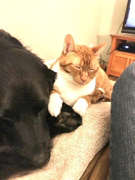 Opie & Padden 