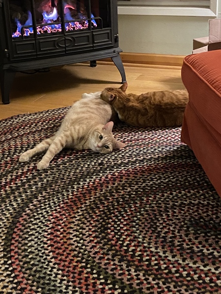 Opie & Lucci