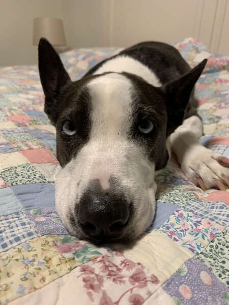 Luna