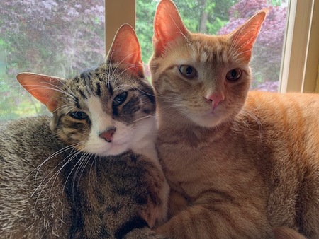 Simon and Oliver