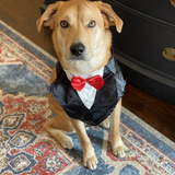 Entry image for Mickey