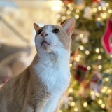 Entry image for Binx