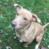 Entry image for Lucy