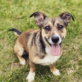 Entry image for Winnie