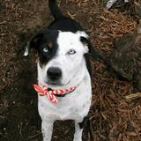 Entry image for Skye