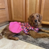 Entry image for Maiya Beatrix 