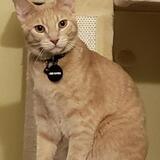 Entry image for Christopher