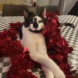 Entry image for Keef