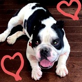 Entry image for Popeye