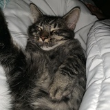 Entry image for Dudley