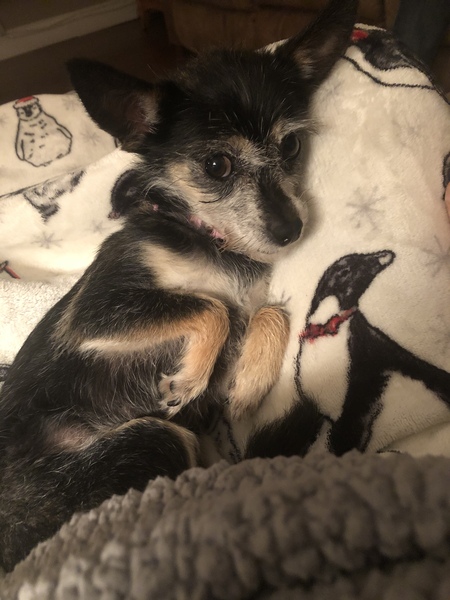 Entry image for Nikki. Clicking this image will show a larger photo