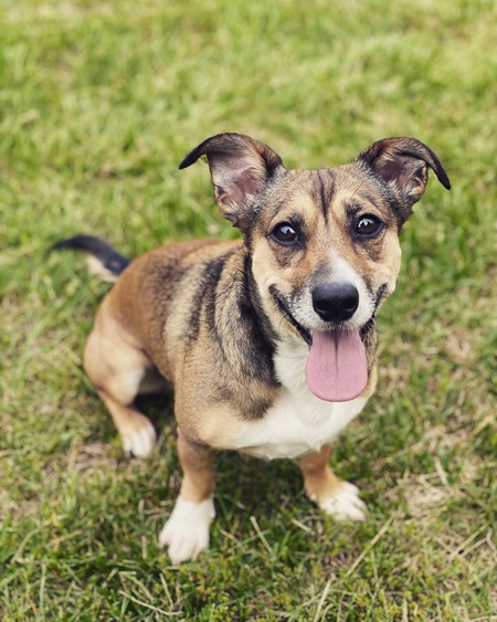 Entry image for Winnie. Clicking this image will show a larger photo