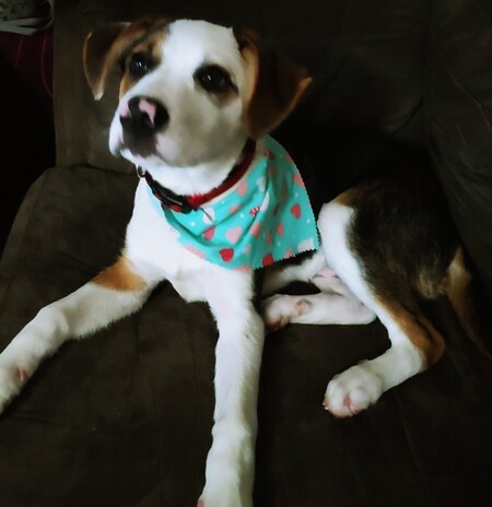 Entry image for Pete. Clicking this image will show a larger photo