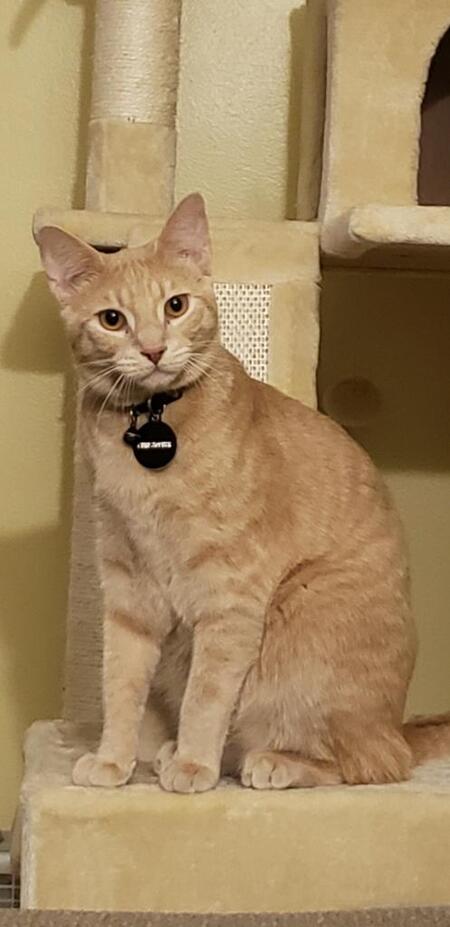 Entry image for Christopher. Clicking this image will show a larger photo