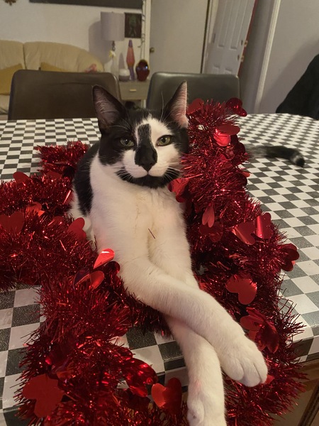 Entry image for Keef. Clicking this image will show a larger photo