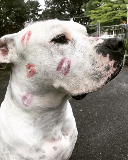 Entry image for Jake. Clicking this image will show a larger photo