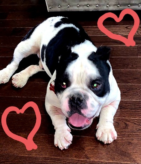 Entry image for Popeye. Clicking this image will show a larger photo