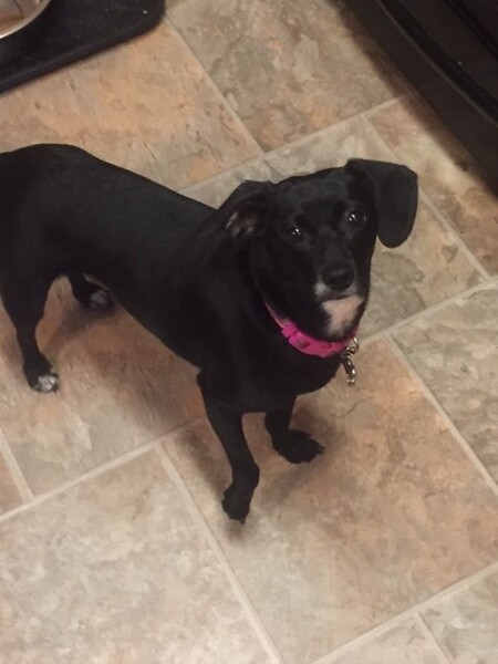 Maggie