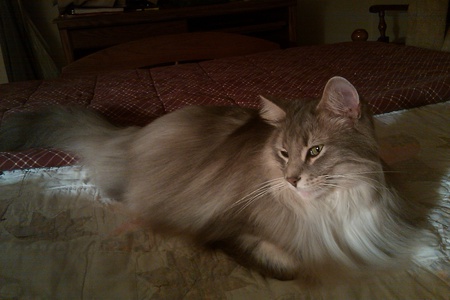 Dave