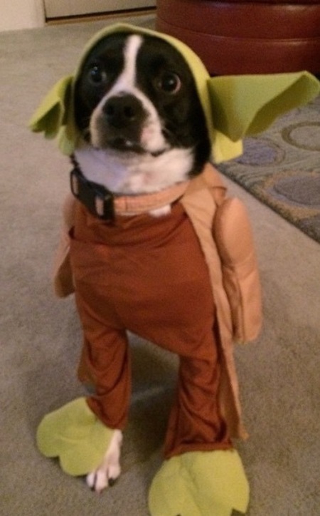 Winnie
