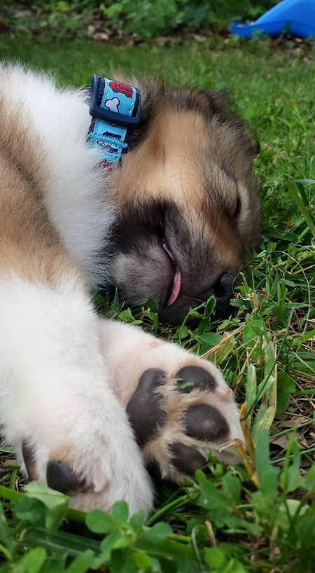 Theodore