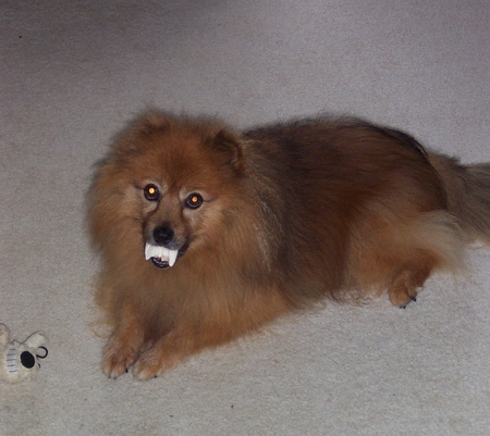 Darby