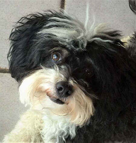 Billy