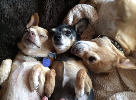 Papi, Tito and Tiki