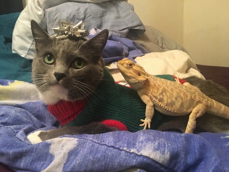 Marvin/Taco