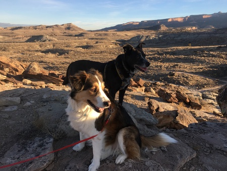 Skye and Tashi