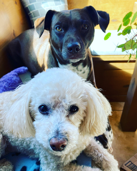 Kal-El and Sage