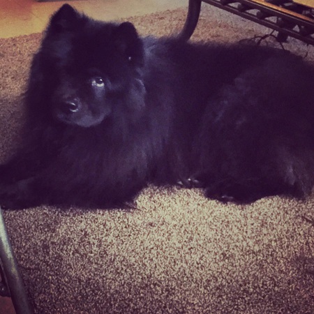 Luna