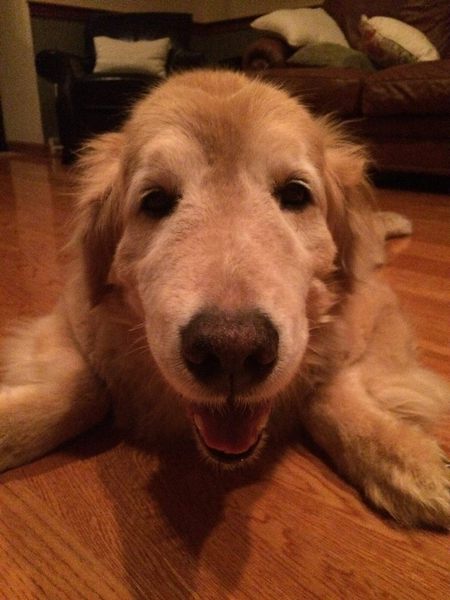 Murphy